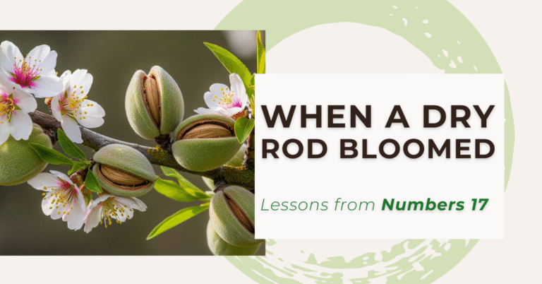 When a Dry Rod Bloomed: Lessons from Numbers 17